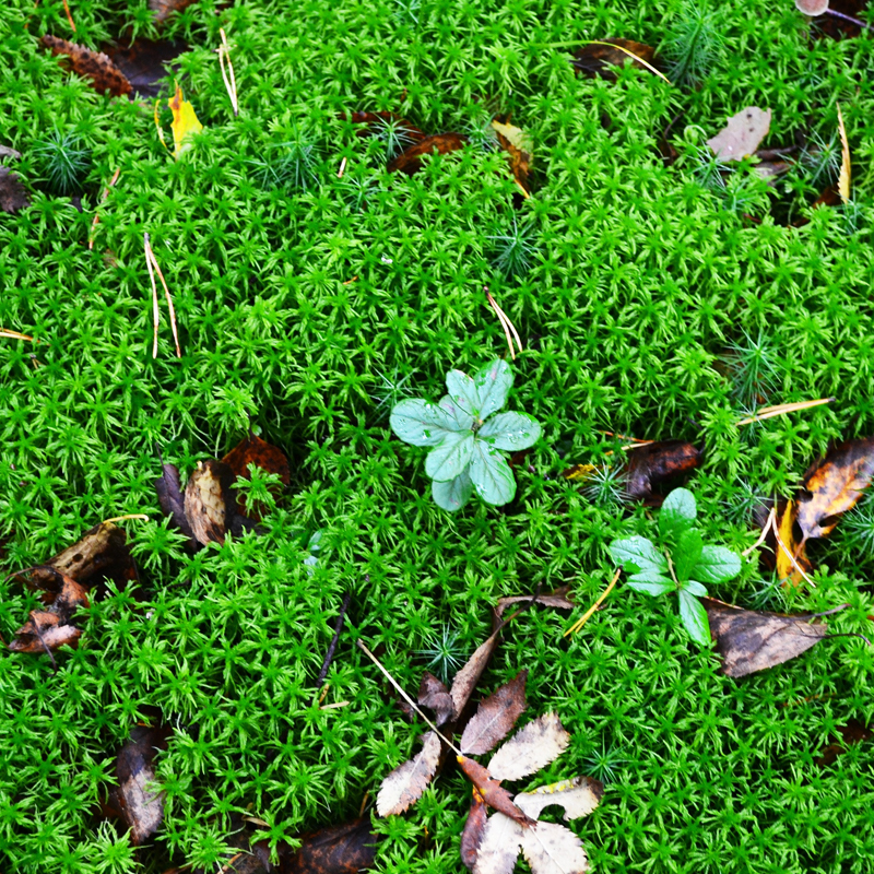 Jouw duurzame woning Boterpoort centrum Oss